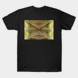 Vaulted Ceiling T-Shirt